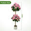 20cm Plant