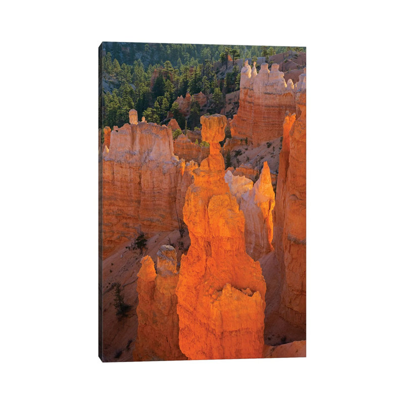 Utah, Bryce Canyon National Park. Thor's Hammer 1 Piece Wrapped Canvas Painting, 66.04cm H x 45.72cm W x 1.91cm D