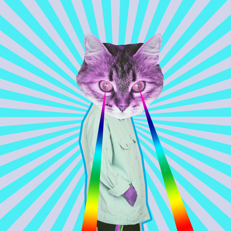 Model's Cat Head - Wrapped Canvas Print, 30cm H x 30cm W x 3.8 cm D