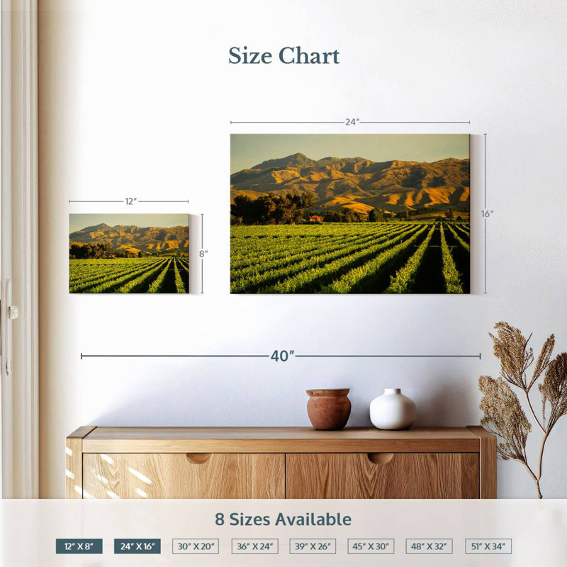 Alvord Blenheim Vineyard, H 16 po x l 24 po