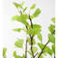 Indoor/ Outdoor Faux-Lighted Ginkgo Tree, 4'H Faux Foliage Tree in Metal Freestanding-30365762