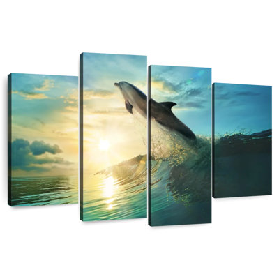 Sunset Dolphin