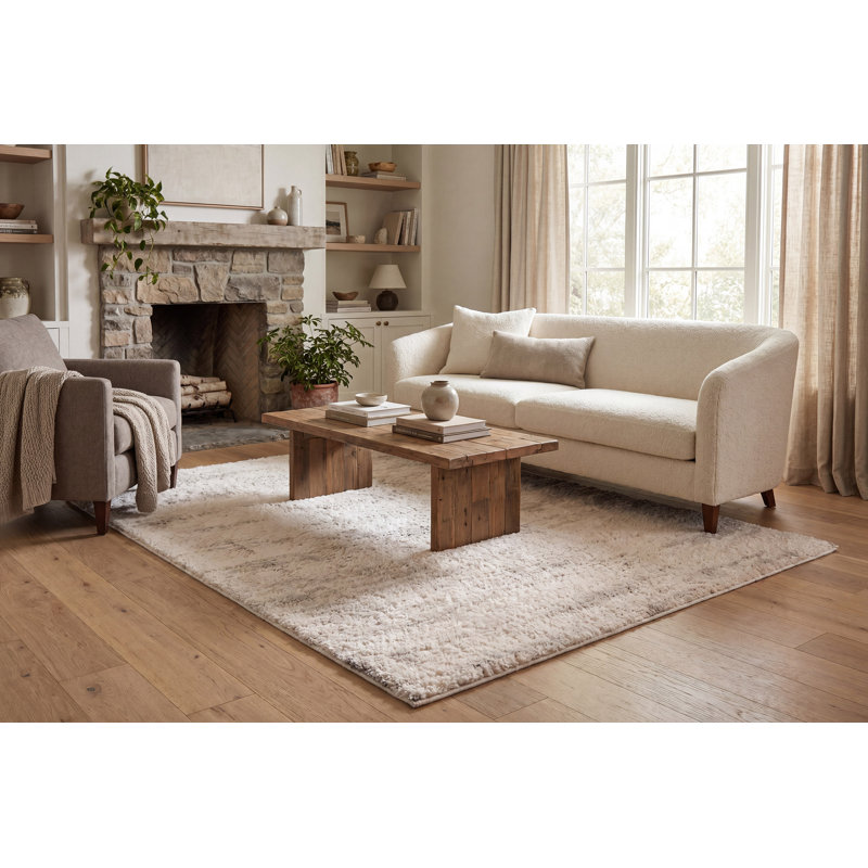 Evas 19593-900 GREY, Rectangle 6'7" x 9'