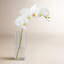 Fabric Orchid Faux Floral Arrangement-966456598