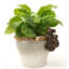 Porte-pot Koala Pot Buddy