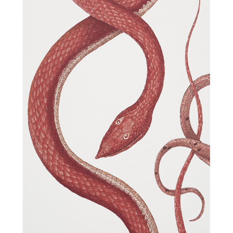 Papier peint Schumacher x Charlap Hyman & Herrero Giove, Rubis / grenat