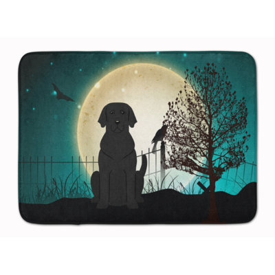 Eila Memory Foam Non-Slip Bath Rug