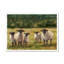 Babsy Sheep Family I - Painting-1599097635-1599097662