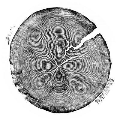 Pine Print
