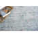 Oriental Area Rug in Blue