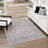Traditional Policarpio Area Rug Ivory-Gray Color-41819214