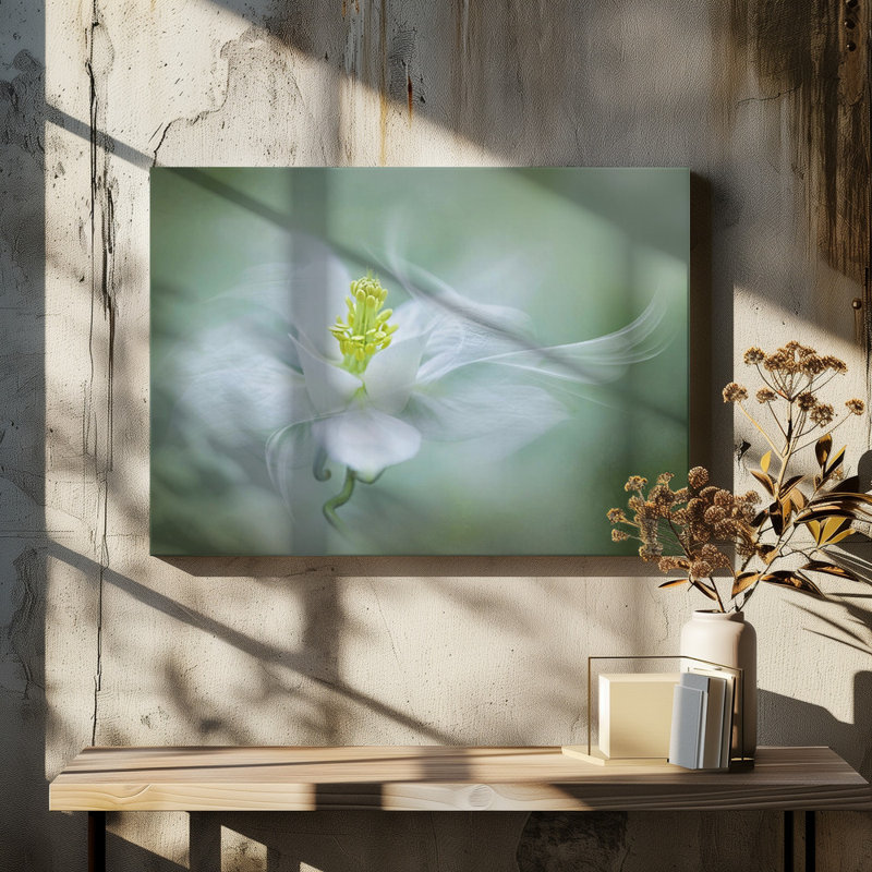 Wrapped Canvas Print, 50.8 cm H x 76.2 cm W