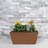 Terra Cotta 12.75 In. Dia X 5.5 In. H Indoor/outdoor Natural Clay Window Box Pot 