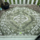 Langley Street Valerie Oriental Rug & Reviews | Wayfair