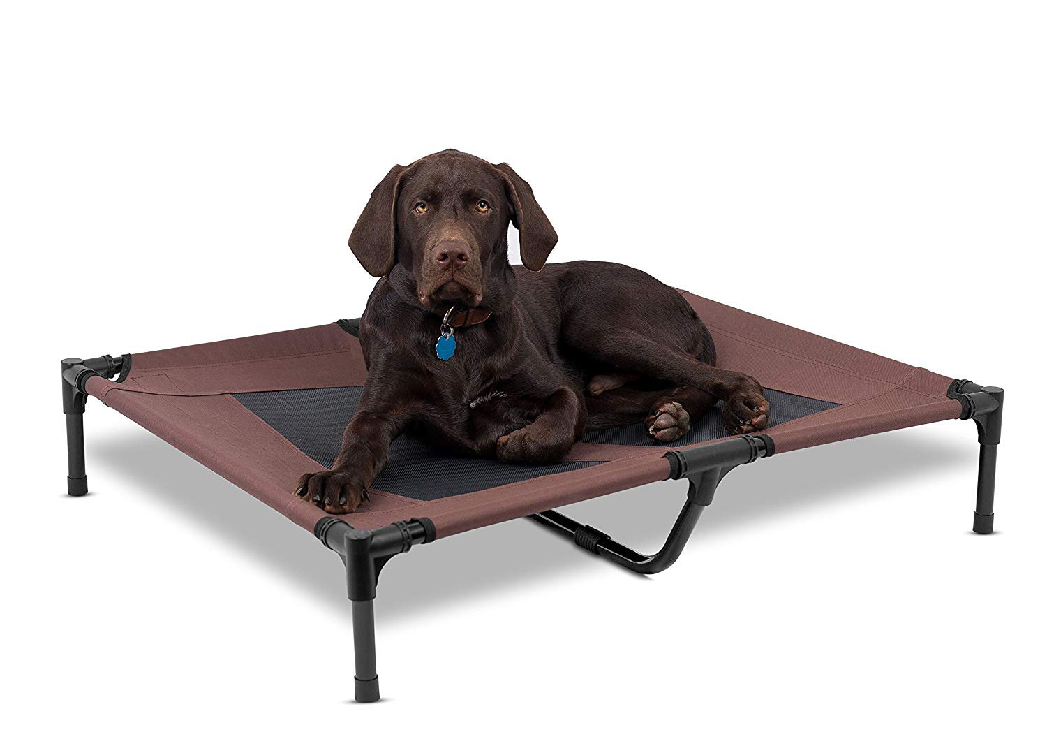BIRDROCK HOME Internet’s Best Hundebett Größe L – Erhöht, Mit Netzbezug, Für Bis Zu 45 Kg, Rot