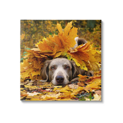" Happy Puppy Autumn Foliage " by Lil' Rue