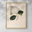 Impression florale rétro sur papier-649870551-649870550