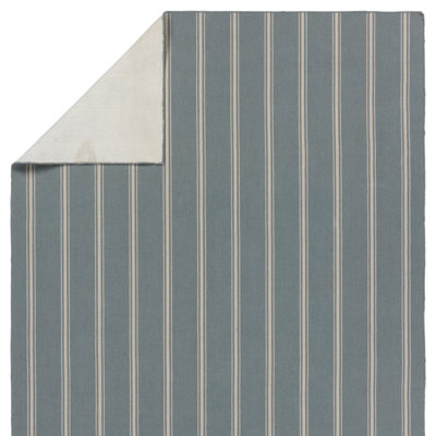 Striped Area Rug in Gray/Beige