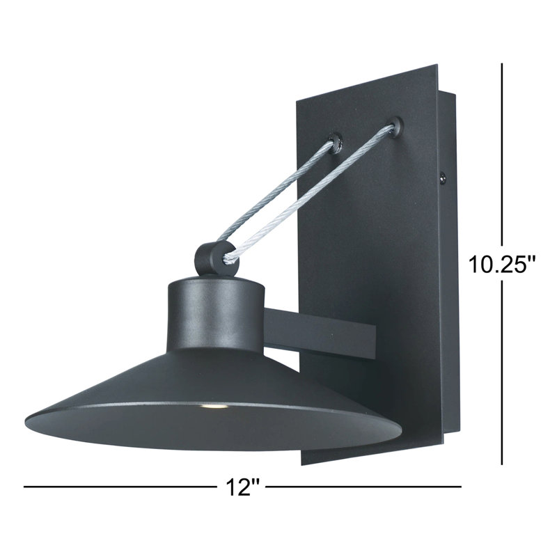 Saheli Steel LED Wall Light, 10.25" H x 9.75" W