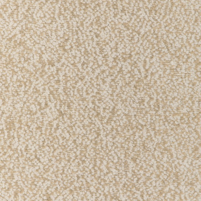 Alpaca Boucle