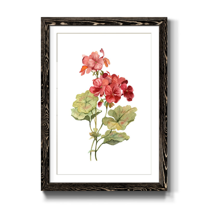 " Scarlet Geranium ", Black, 44" H x 31" W x 1" D