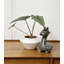 Pot à fleurs en céramique, pot à fleurs en céramique, pots de plantes d'intérieur, plante grasse, noir-93564554