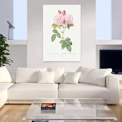 Art mural rétro Rosa Bifera