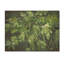 Herbs Pottery Delights II - Herbes florales sur bois-1712075606