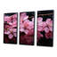 Fleur de cerisier rose, joyau de jardin II - art mural cerisier en fleurs-1452206032-1452206035