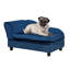Canapé pour petit chien avec rangement caché-1617583627