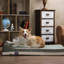 Traversin géant pour chien-757112811-757112812
