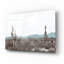  «Sonoran Wonderland» par Nathan Larson, art mural en verre acrylique, 36 po x 24 po-1607251151