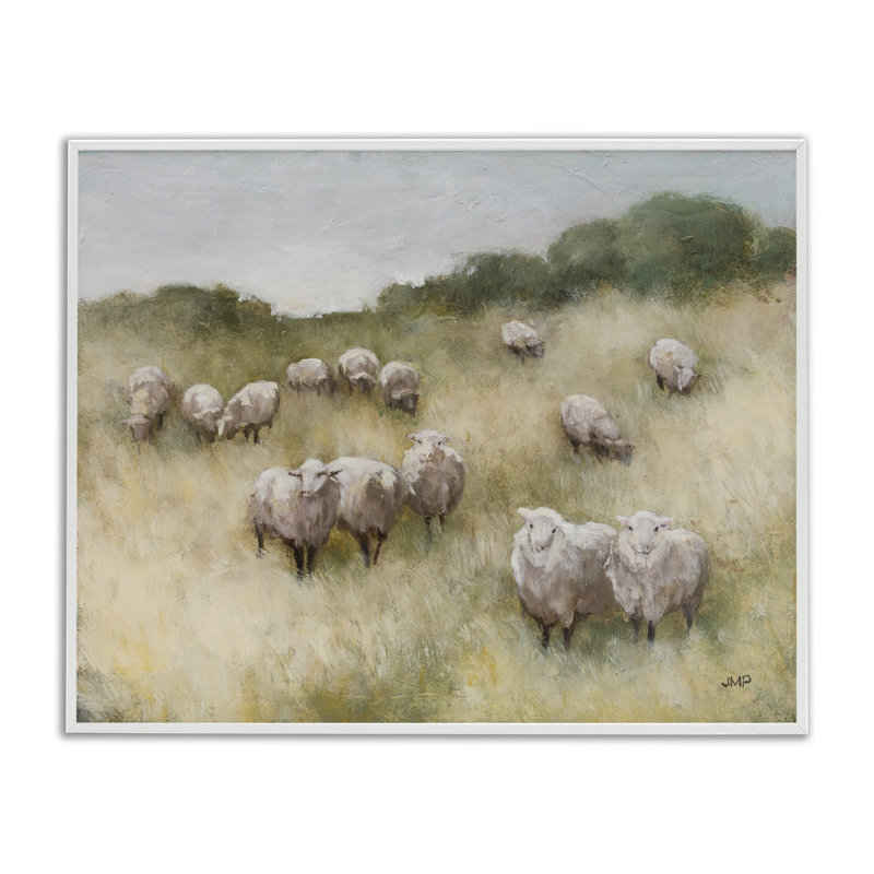 White Framed Sheep Herd in Rural Grassland Canvas Print, 20" x 16"