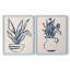 Marine Plant Sketches III - reproduction encadrée de qualité supérieure - prête à être accrochée - aucun clou requis - aucun clou requis-735465261-735465263