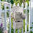 Vintage Planter Wall Mounted for Outdoor/Indoor Plants Flowers Dispaly,Wall Organizer for Letters Post Card-90958723