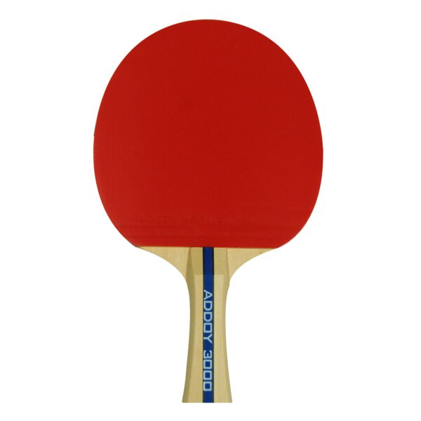 Butterfly Addoy Table Tennis Paddle | Wayfair