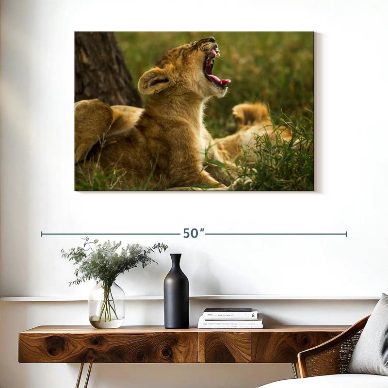 Crowle Sleepy Lion Cub, H 26 po x l 39 po
