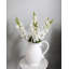 Véritable touche blanche 23 po Snapdragon-1814292123