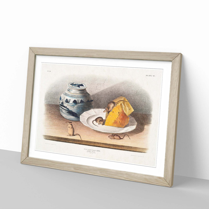 Mice by J.W. Audubon - Framed Print, 36cm H x 48cm W x 2cm D, Oak Framed