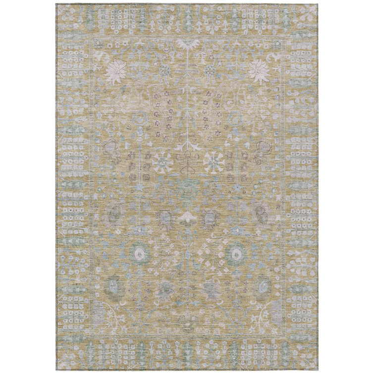 Machine Washable Indoor/Outdoor Brenden ACN2231 Global Rug