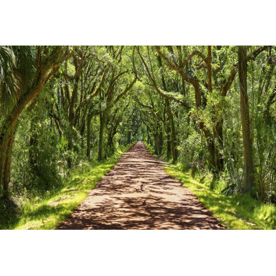 Country Road VII by James McLoughlin - Photograph