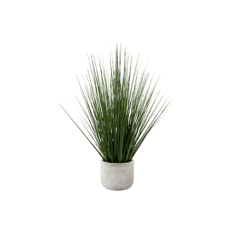 Plante Mcfadden en fausse herbe en pot de ciment
