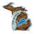 Detroit Lions