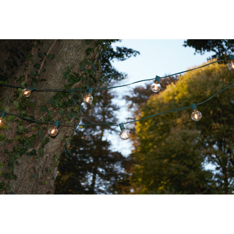 Guirlande de 50 lumières sphériques pour l'extérieur 50 pi Hinds, Fil vert, G50, L 600 po