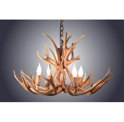 Jernigan 4 - Light Chandelier
