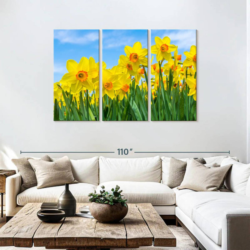 Dutch Master Daffodils, 48" H x 74" W
