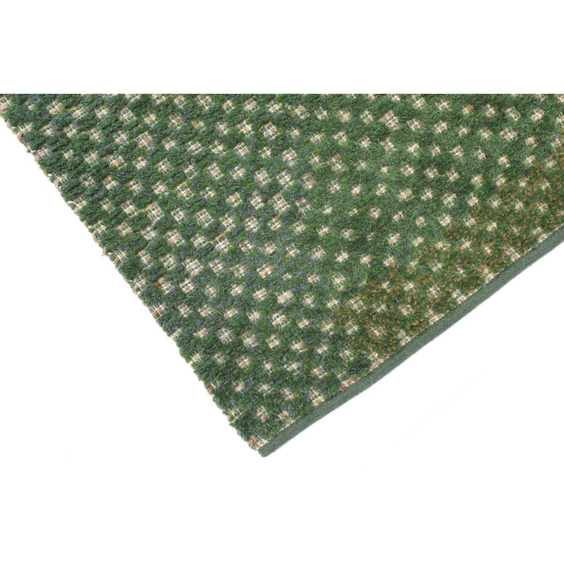 Bovina Hand Loomed Area Rug in Green