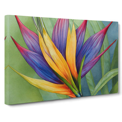 Handsome Bird Of Paradise Flower - Wrapped Canvas Print