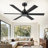 Cissline 48" Black 6-Blade Ceiling Fan No Light with Aluminum Blades, Remote Control for Medium Room