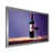 Silver Single Picture Framed